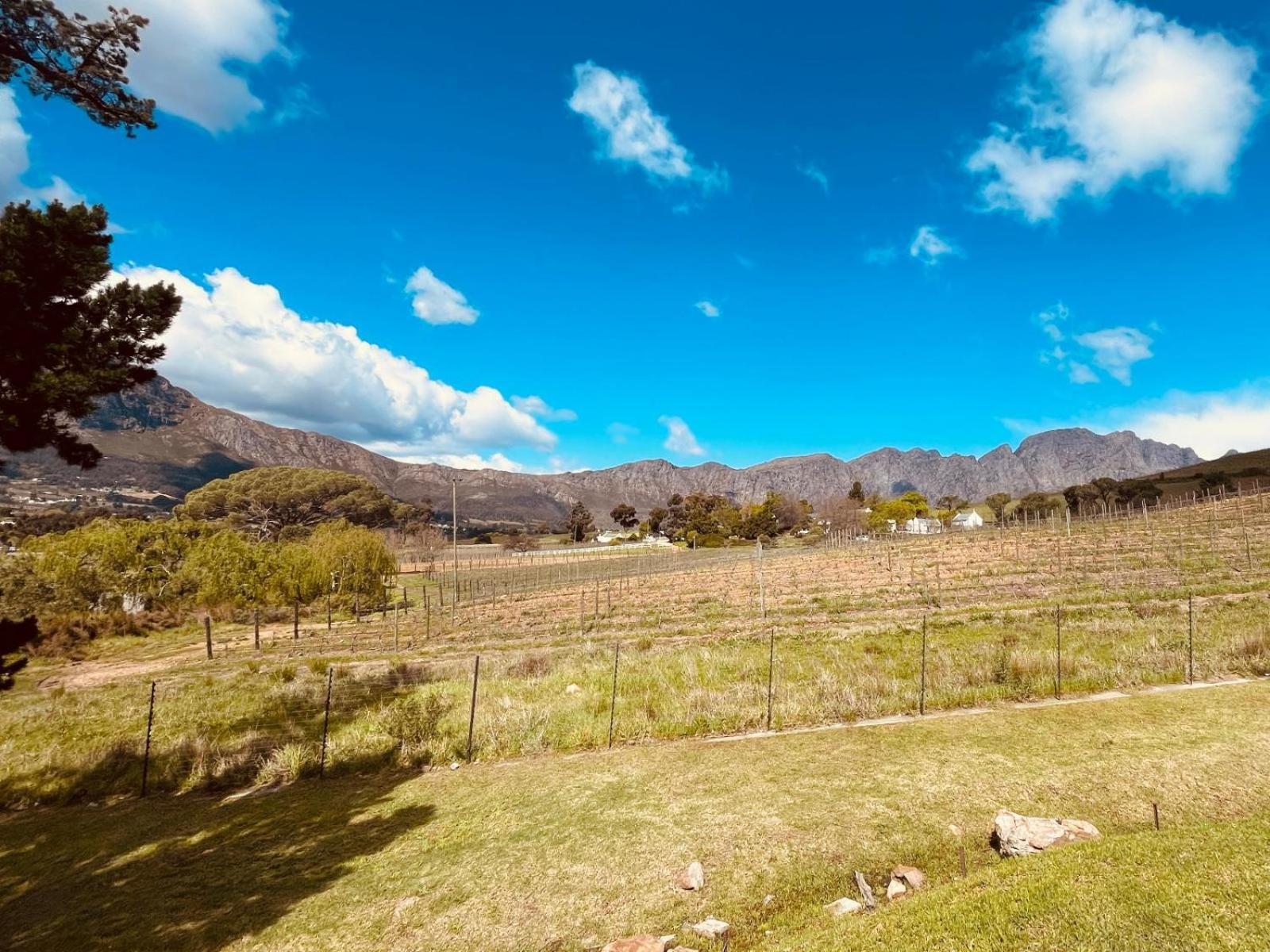 Sugarbee Cottages Franschhoek Exterior foto