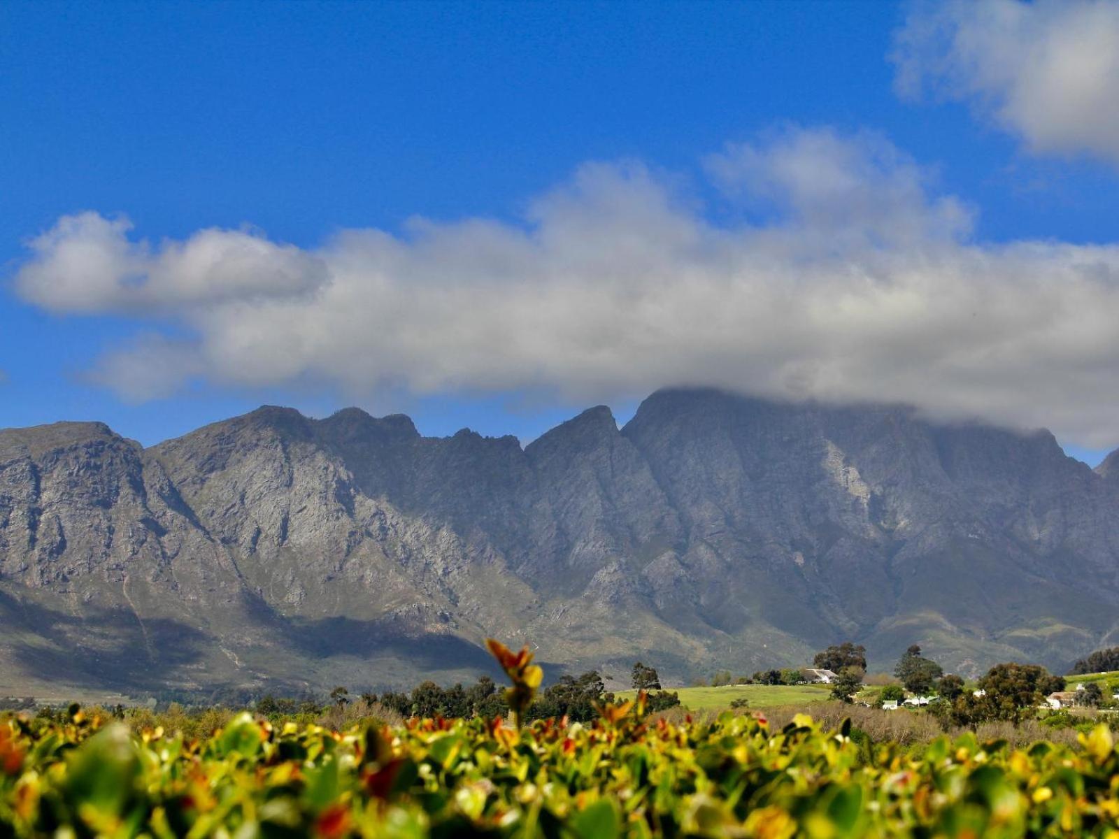 Sugarbee Cottages Franschhoek Exterior foto