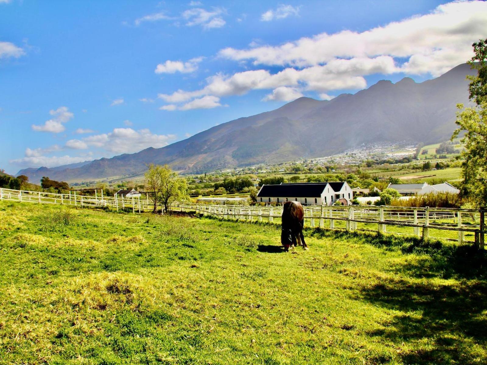 Sugarbee Cottages Franschhoek Exterior foto